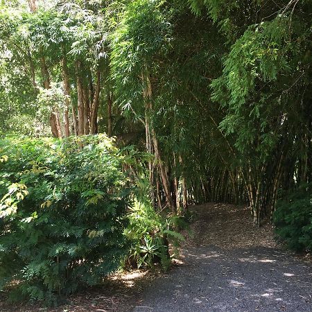 Kin Kin Cottage Retreat Luaran gambar