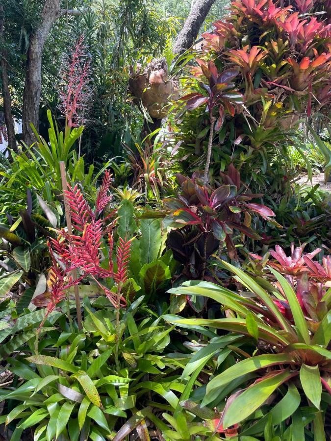 Kin Kin Cottage Retreat Luaran gambar