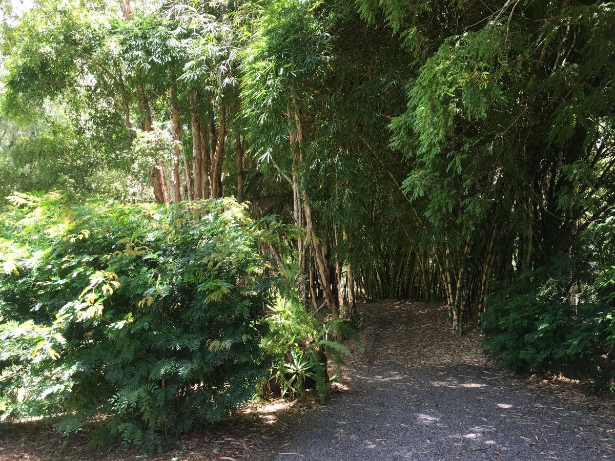 Kin Kin Cottage Retreat Luaran gambar
