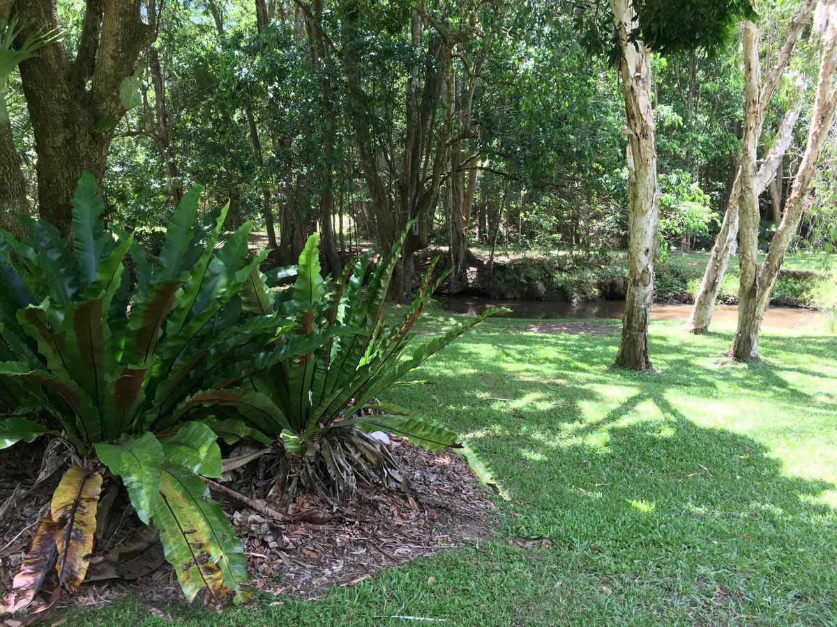 Kin Kin Cottage Retreat Luaran gambar