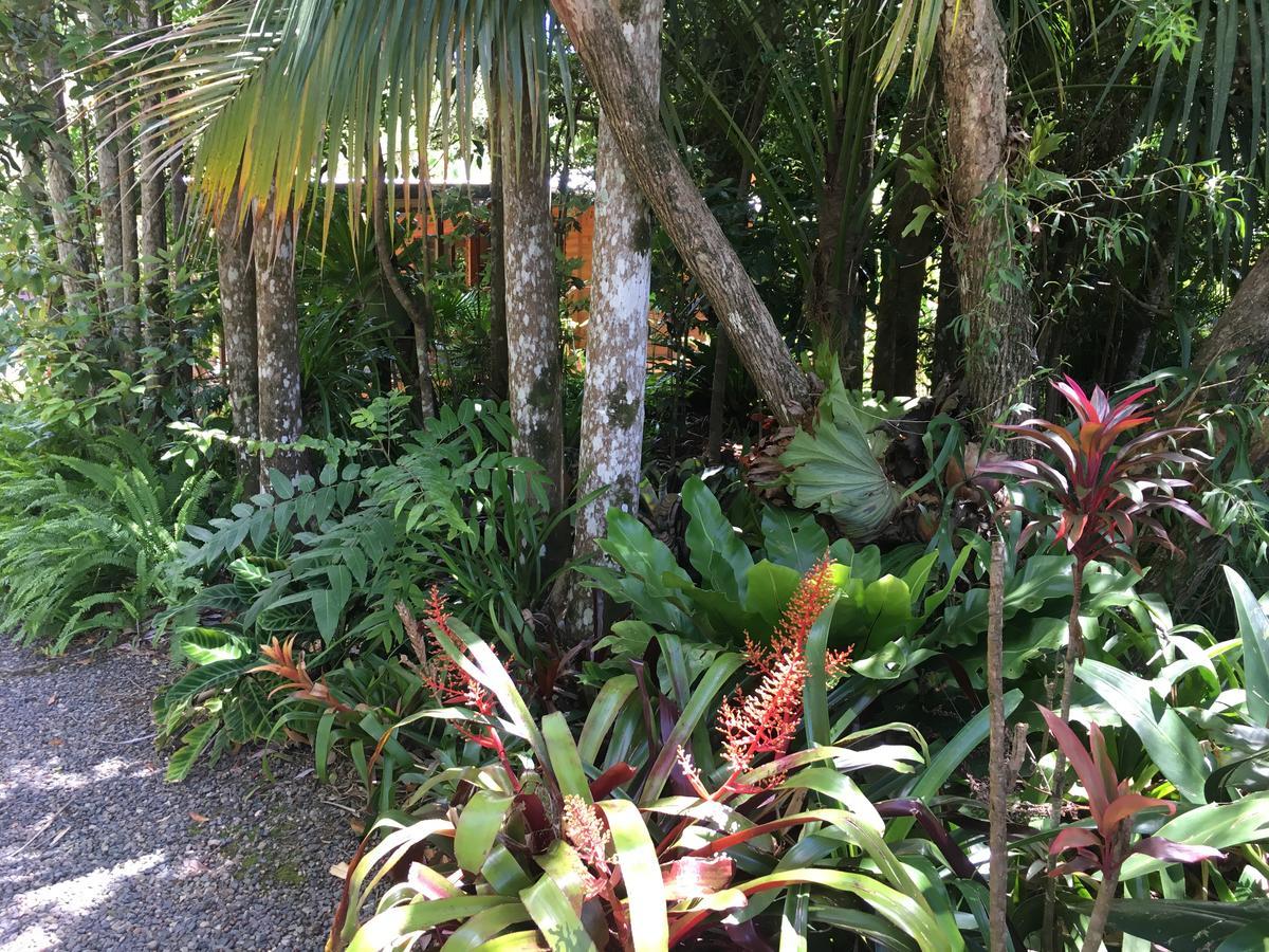 Kin Kin Cottage Retreat Luaran gambar